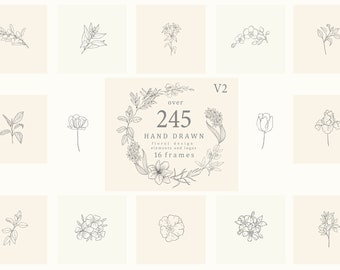 Hand Drawn Floral Element Flowers Leaves Frames Botanical Collection Wedding Nature Logo Illustration Line Art Set Digital Clipart PNG SVG
