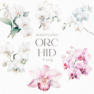 Flores de orquídea em aquarela, clipart, flor, folha, branco, rosa, floral, galho, casamento, cartão, galhos, decoração, PNG