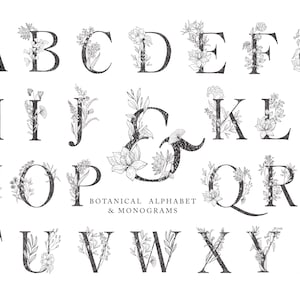 Botanische Bloemen Alfabet Bladeren Bloemen Pioengroen Groen Handgetekende Letters Bruiloft Uitnodiging Monogram Bruids Logo Vector Clipart PNG SVG