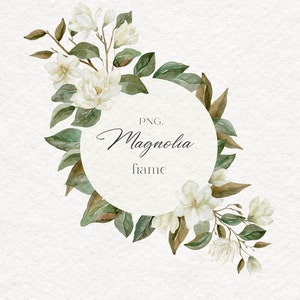 Magnólia, Aquarela, Clipart, Branco, Flor, Moldura, Borda, Ramos, Arranjos, Folhas, Casamento, Cartão, Digital, PNG