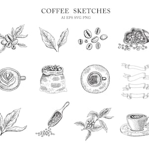 Koffie Handgetekende Schetsen Grafische Clipart Embleem Logo Poster Kaart Print Decor Vintage Drink Shop Collectie Illustratie SVG Set Vector PNG