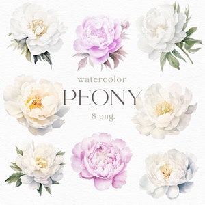 Flores de peônia em aquarela, clipart, flor, folha, branco, rosa, floral, galho, jardim, casamento, cartão, decoração, clip art, png
