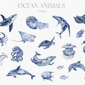 Animaux de l'océan, vie marine, Clipart, baleine, poisson, méduse, tortue, requin, pieuvre, crabe, Nautilus, Stingray, dauphin, étoile de mer aquarelle PNG