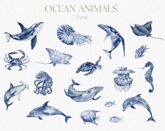 Animales marinos, vida marina, imágenes prediseñadas, ballena, pez, medusa, tortuga, tiburón, pulpo, cangrejo, nautilo, raya, delfín, estrella de mar, acuarela PNG