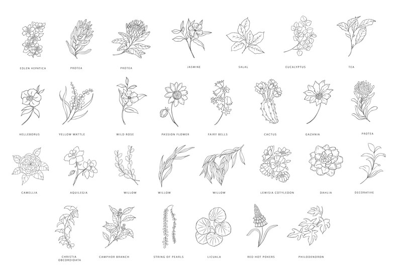 The Great Gatsby Flower Scene Clipart