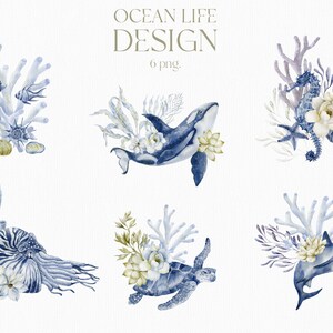 Animaux océaniques, Vie marine, Clipart, Baleine, Hippocampe, Poisson, Tortue, Requin, Nautile, Étoile de mer, Algues, Fleur, Corail, Coquille Aquarelle PNG