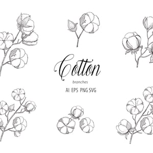 Botanique coton Clipart dessinés à la main Floral Branches feuilles fleur mariage été Logo tissu décorer Collection vecteur ligne ensemble PNG EPS SVG