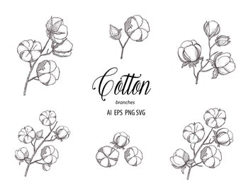 Botanical Cotton Clipart Hand Drawn Floral Branches Leaves Flower Wedding Summer Logo Fabric Decorate Collection Vector Line Set PNG EPS SVG