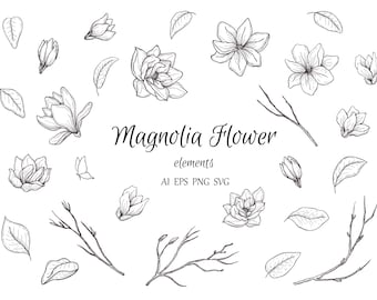 Imágenes prediseñadas botánicas de magnolia, elementos florales dibujados a mano, hojas, flores, follaje de boda, ramas, decoración de primavera, colección vectorial PNG EPS SVG