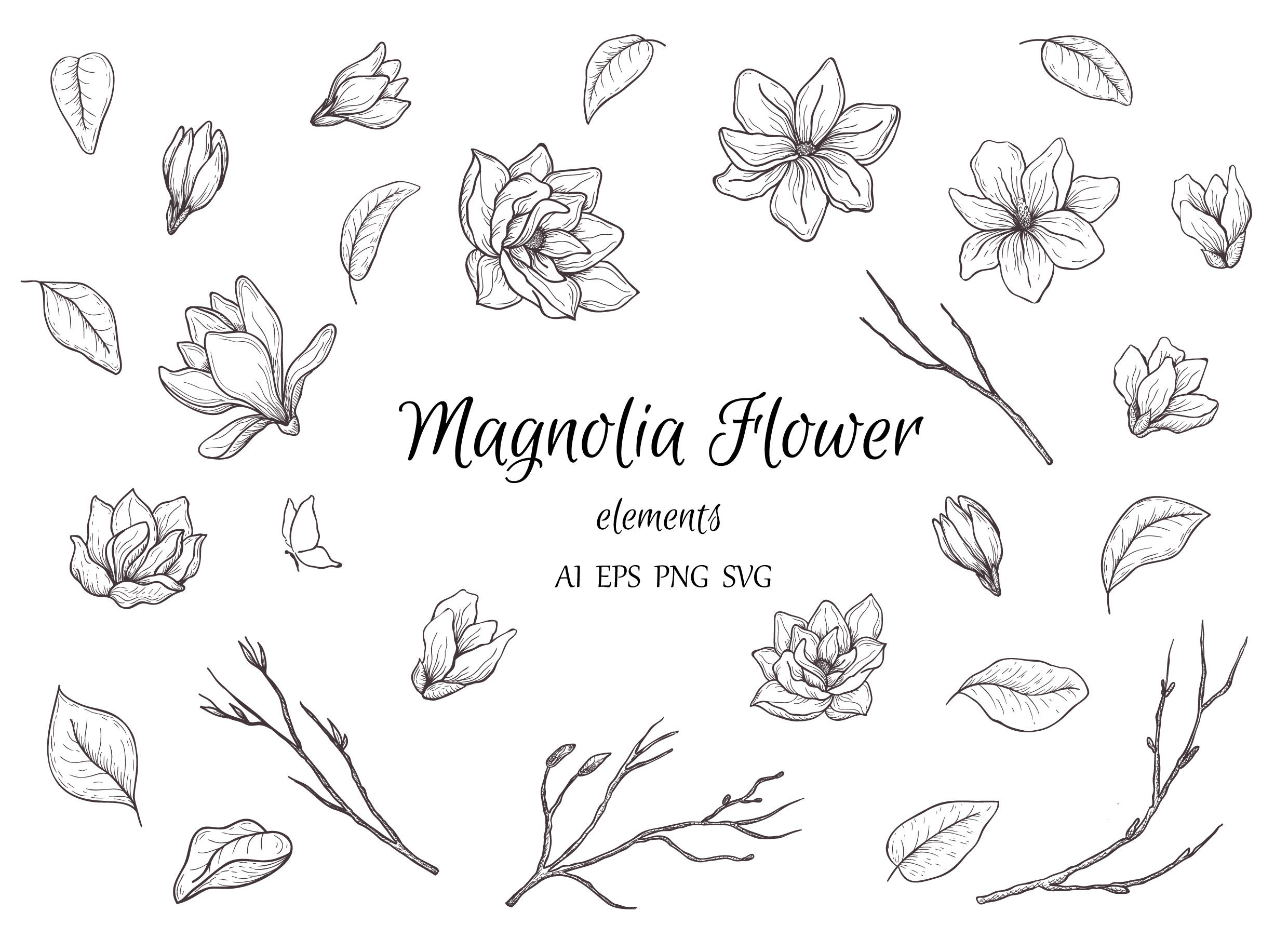 Botanical Magnolia Clipart Hand Drawn Floral Element Leaves | Etsy
