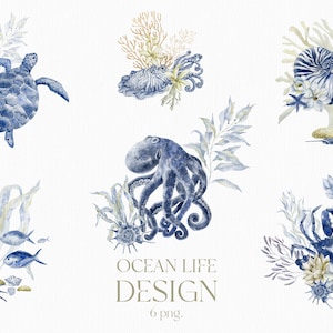 Animales del océano, Vida marina, Clipart, Peces, Tortuga, Pulpo, Cangrejo, Nautilus, Algas, Concha, Piedras, Flor, Plantas, Acuarela, PNG submarino
