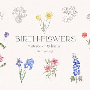 Naissance fleurs Clipart, aquarelle, ligne plantes florales, œillet, Rose, coquelicot, lys, Iris, jonquille, marguerite, aster, houx, souci, PNG, SVG