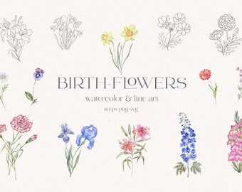 Imágenes prediseñadas de flores de nacimiento, acuarela, plantas florales lineales, clavel, rosa, amapola, lirio, iris, narciso, margarita, áster, acebo, caléndula, PNG, SVG