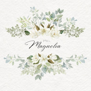 Magnólia, Aquarela, Clipart, Branco, Flor, Moldura, Borda, Ramos, Eucalipto, Verde, Verdura, Folhas, Casamento, Cartão, Digital, PNG