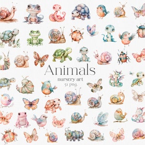 Acuarela Animal Clipart, Arte infantil, Animales lindos, Tortuga, Mariposa, Caracol, Rana, Pájaro, Pegatina, Baby Shower, Dragón, Serpiente, Beelte, Png