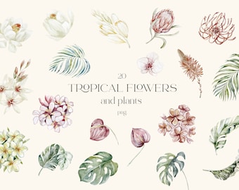 Tropical Watercolor Flowers, Floral Clipart, Wedding, Birthday, Monstera, Orchid, Frangipani, Protea, Banana Palm, Jungle, Exotic Leaves PNG