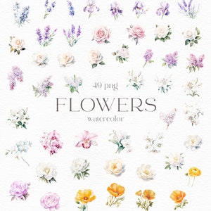 Aquarell Blumen, Blumen Clipart, weiße Lilie, Mohn, Flieder, Orchidee, Iris, Lavendel, Pfingstrose, Weiß, Rose, Delphinium, Blatt, PNG