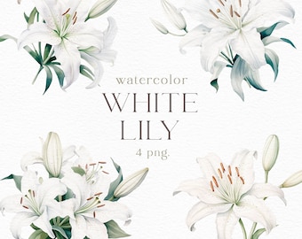 Flores de lirio blanco en acuarela, imágenes prediseñadas, flores blancas, floral, flores, jardín, boda, decoración, PNG