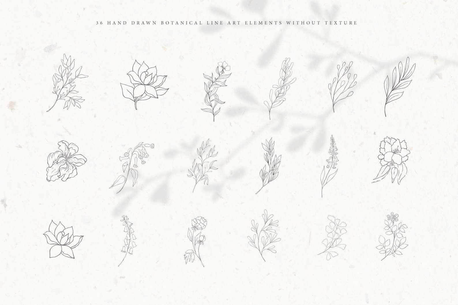 Botanical Hand Drawn Clipart Floral Alphabet Monogram Logo | Etsy