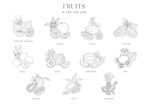 Fruits Flowers Bergamot Watermelon Orange Kiwano Melon Etsy 日本