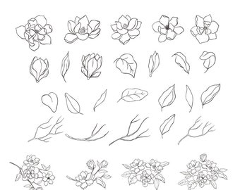 Botanical Magnolia Clipart Hand Drawn Floral Element Leaves Flower Wedding Foliage Branch Spring Decorate Collection Vector Set PNG EPS SVG
