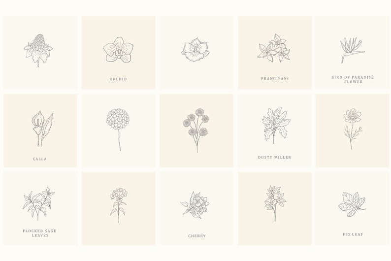 Download Hand Drawn Floral Element Flowers Leaves Frames Botanical Collection Wedding Nature Logo Illustration Line Art Set Digital Clipart Png Svg