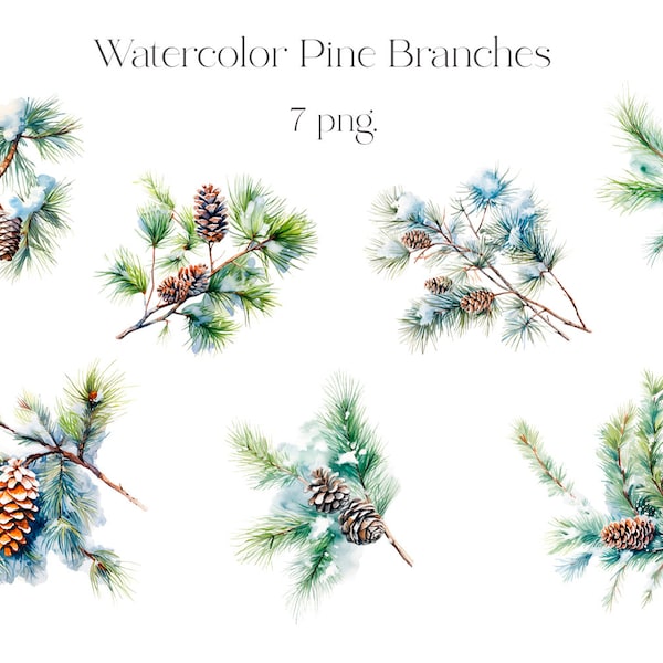 Watercolor Pine Branches, Clipart, Spruce Twigs, Forest, Green Branches, Snow Branches, Winter, Season, Nature, Bumps, Coniferous, Tree, PNG