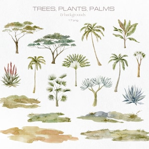 Árboles tropicales en acuarela, imágenes prediseñadas florales, plátano, palmera, selva, exótico, hojas, cactus, plantas, hierba, fondo, sabana, paraíso, PNG