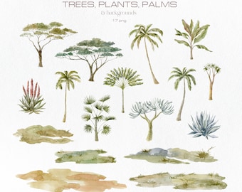 Tropische Aquarell Bäume, Blumen Clipart, Bananen, Palmen, Dschungel, Exotisch, Blätter, Kaktus, Pflanzen, Gras, Hintergrund, Savanne, Paradies, PNG