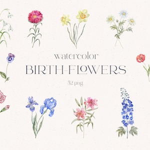 Naissance fleurs Clipart, aquarelle fleurs, œillet, Rose, coquelicot, lys, Iris, jonquille, marguerite, aster, houx, aubépine, souci, pois, PNG