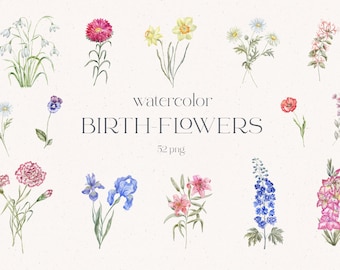 Imágenes prediseñadas de flores de nacimiento, flores en acuarela, clavel, rosa, amapola, lirio, iris, narciso, margarita, áster, acebo, espino blanco, caléndula, guisante, PNG