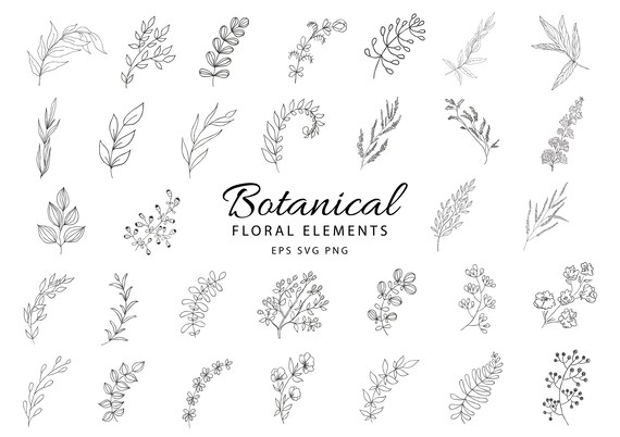 Download Botanical Clipart Hand Drawn Floral Leaves Leaf Wild Flowers Etsy