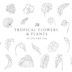 Tropical Botánico Clipart Hojas Florales Monstera Palm Frangipani Orquídea Banana Flores Boda Planta Logo Vector Line Art PNG EPS SVG