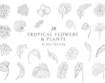 Imágenes prediseñadas botánicas tropicales: hojas florales, monstera, palmera, orquídea frangipani, flores de plátano, logotipo de planta de boda, arte lineal vectorial PNG EPS SVG