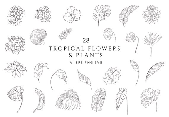 Tropical Botanical Clipart Floral Leaves Monstera Palm Frangipani Orchid Banana Flowers Wedding Plant Logo Vector Line Art PNG EPS SVG