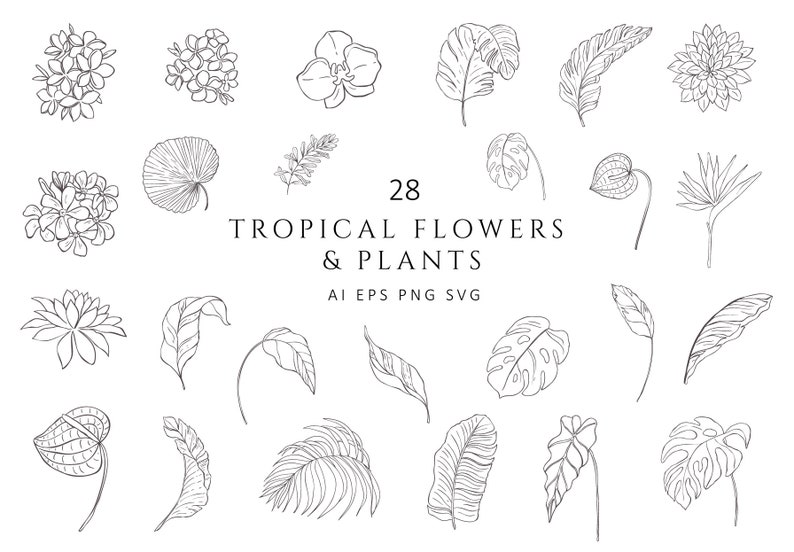 May include: A set of 28 black and white line drawings of tropical flowers and plants. The illustrations include orchids, palm leaves, hibiscus, and other tropical foliage.