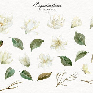 Aquarela Branca Magnólia Elementos Coleção Ramo Folhas Verdes Flores Planta Árvore Borboleta Conjunto Aquarelle Clipart Digital PNG