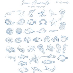 Imágenes prediseñadas de vida marina, bajo el agua, marino, animales marinos, garabatos, náutico, pez, aguijón, medusa, cangrejo, concha, nautilus, imágenes prediseñadas de arte lineal de iconos