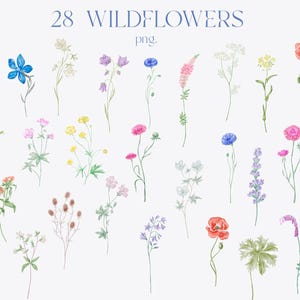 Fleurs sauvages, aquarelle de fleurs sauvages, pavot, clipart floral, bleuet, jacinthes des bois, renoncule, prairie, champ, feuille, fleur bleue, rose, PNG