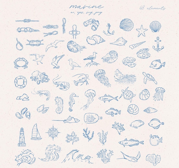 Sealife Clipart, Underwater, Marine, Sea Animals, Doodles, Nautical, Travel, Vacation, Coastal, Food, Hand Drawn Icon, Line Art Clipart, SVG