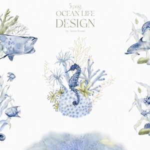 Meerestiere, Sea Life, Clipart, Seepferdchen, Seepferdchen, Fisch, Rochen, Delfine, Seegras, Blume, Muscheln, Steine, Pflanzen, Aquarell, PNG