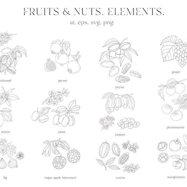 Fruits, Berries, Nuts Clipart, Flower, Almond, Garnet, Lemon, Grape, Plum, Fig Cocoa Mangosteen Cashew Exotic Tropical Line Art Logo PNG SVG