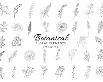 Botanical Clipart Hand Drawn Floral Leaves Peony Flowers Wedding Plant Foliage Branch Spring Logo Branding Collection Vector Set PNG EPS SVG