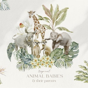 Aquarelle animaux, jungle tropicale, fleurs cliparts, cadres palmiers chambre d'enfants Safari girafe tigre lion éléphant zèbre léopard bébé PNG
