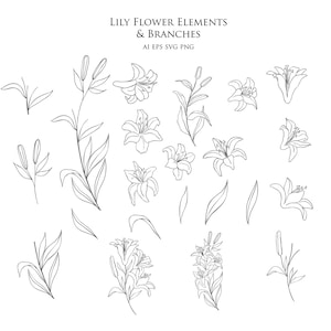 Lírio botânico Clipart mão desenhada elementos florais folhas flor folhagem de casamento ramo uma linha arte decorar vetor logotipo conjunto PNG EPS SVG ai