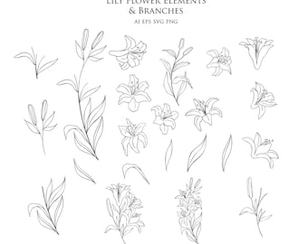 Botanical Lily Clipart Hand Drawn Floral Elements Leaves Flower Wedding Foliage Branch One Line Art Decorate Vector Logo Set PNG EPS SVG ai