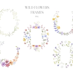 Cadres floraux, Fleurs sauvages, Aquarelle, Clipart, Coquelicot, Сhicory, Pois souris, Trèfle, Pansies, Anémone, Prairie, Bluebells, Plantes, Champ PNG