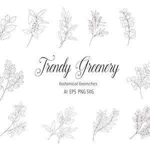 Botânico Eucalipto Olive Samambaia Clipart Desenhado à Mão Floral Folhas Planta Verdura Ramo Primavera Logo Branding Coleção Vector PNG EPS SVG