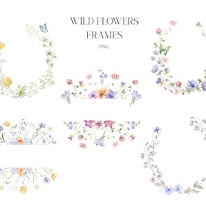Cadres floraux, Fleurs sauvages, Aquarelle, Clipart, Coquelicot, Сhicory, Pois souris, Trèfle, Pansies, Anémone, Prairie, Bluebells, Plantes, Champ PNG