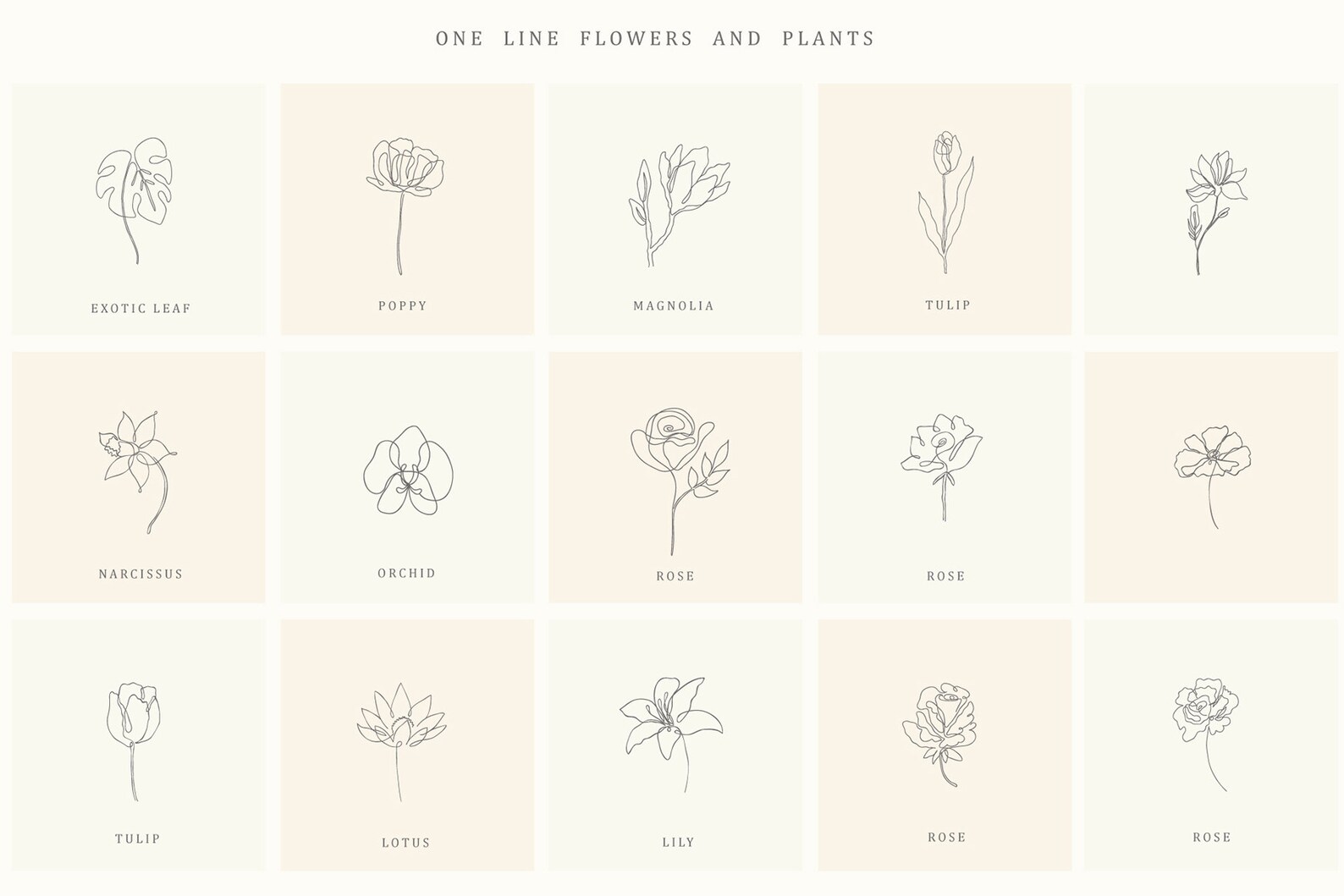 Botanische Clipart Hand Gezeichnet Floral Rose Lotus Orchidee Etsy